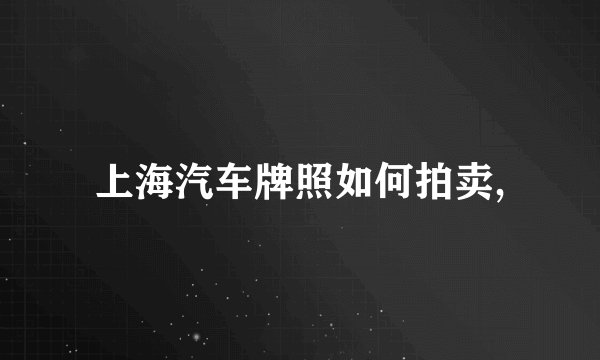 上海汽车牌照如何拍卖,