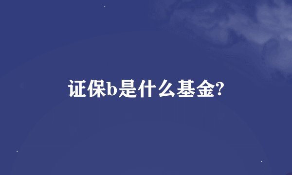 证保b是什么基金?