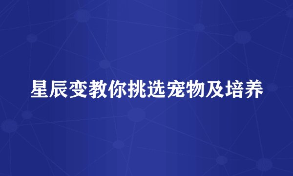 星辰变教你挑选宠物及培养