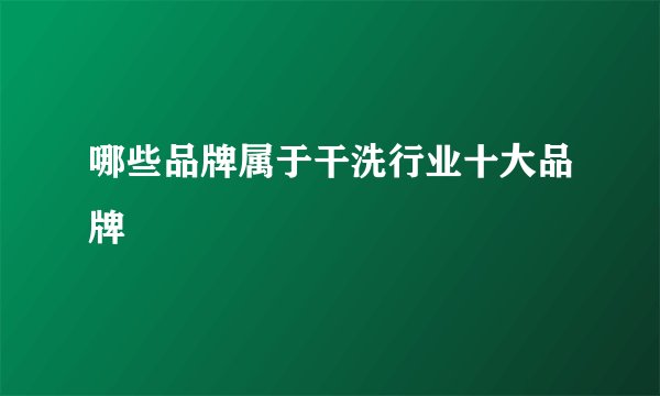 哪些品牌属于干洗行业十大品牌