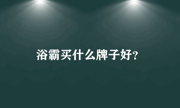 浴霸买什么牌子好？