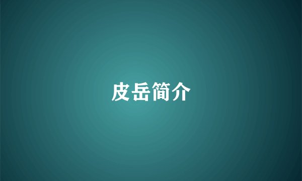 皮岳简介
