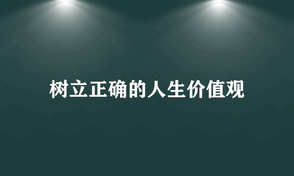 树立正确的人生价值观