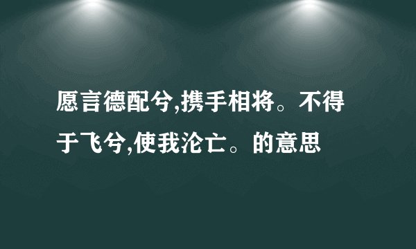 愿言德配兮,携手相将。不得于飞兮,使我沦亡。的意思