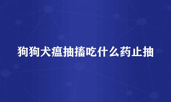 狗狗犬瘟抽搐吃什么药止抽