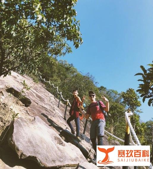 陈意涵到底有什么样的魅力让杨洋把她夸上天？