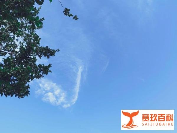观影：《人生路不熟》