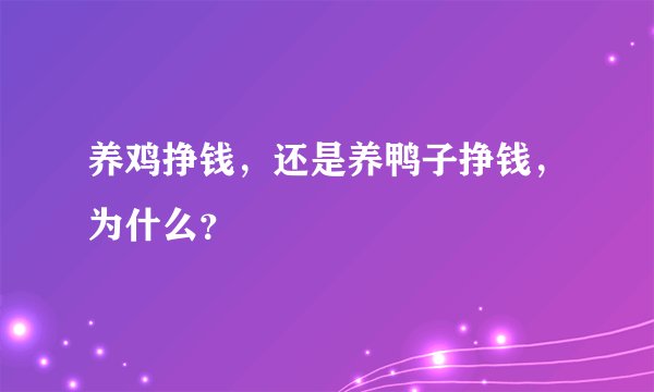 养鸡挣钱，还是养鸭子挣钱，为什么？