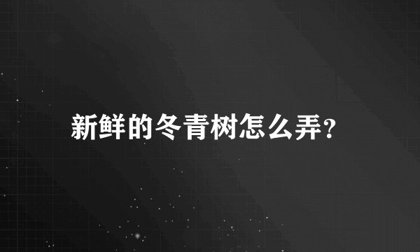 新鲜的冬青树怎么弄？
