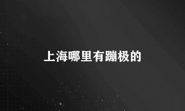 上海哪里有蹦极的
