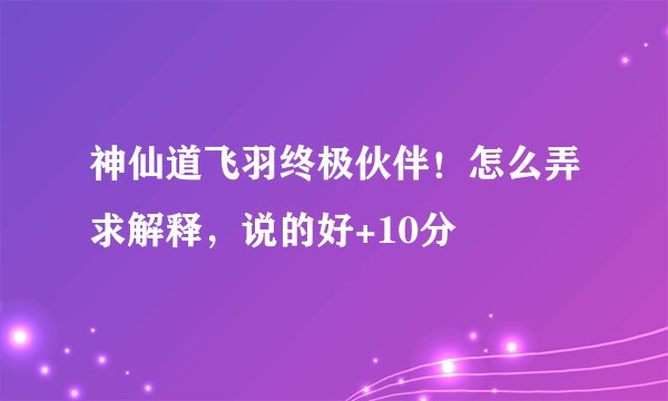 神仙道飞羽终极伙伴！怎么弄求解释，说的好+10分