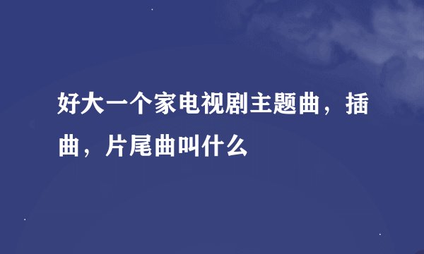 好大一个家电视剧主题曲，插曲，片尾曲叫什么