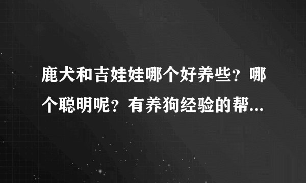 鹿犬和吉娃娃哪个好养些？哪个聪明呢？有养狗经验的帮忙选选？