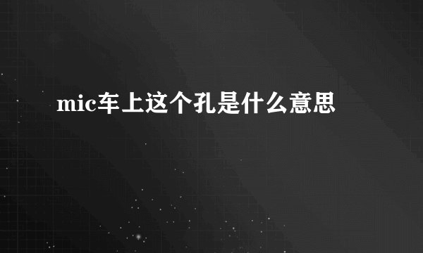 mic车上这个孔是什么意思
