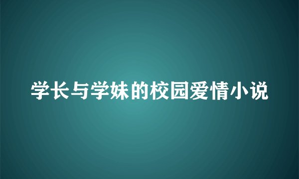 学长与学妹的校园爱情小说