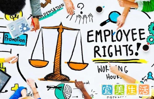 公司招聘拒绝录用“河南人”,90后女孩为平等就业维权,官司赢了