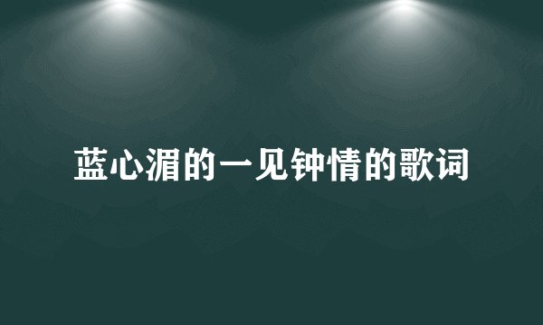 蓝心湄的一见钟情的歌词