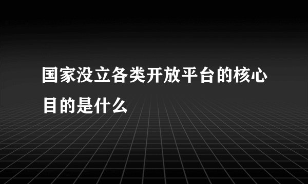 国家没立各类开放平台的核心目的是什么