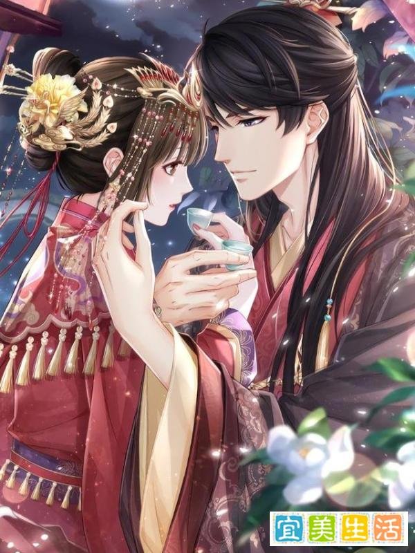 强取豪夺佳作,柔弱小白兔与她的冷情郎君,前世之憾今朝圆满
