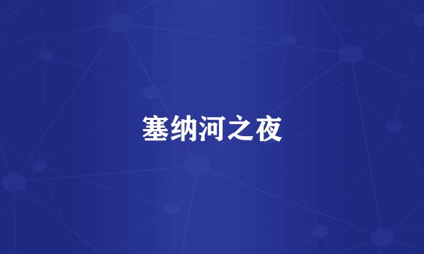 塞纳河之夜