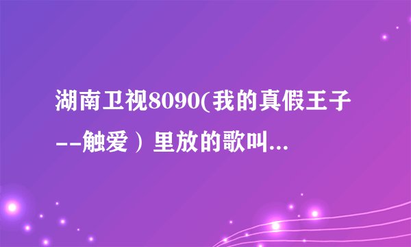 湖南卫视8090(我的真假王子--触爱)里放的歌叫什么名?