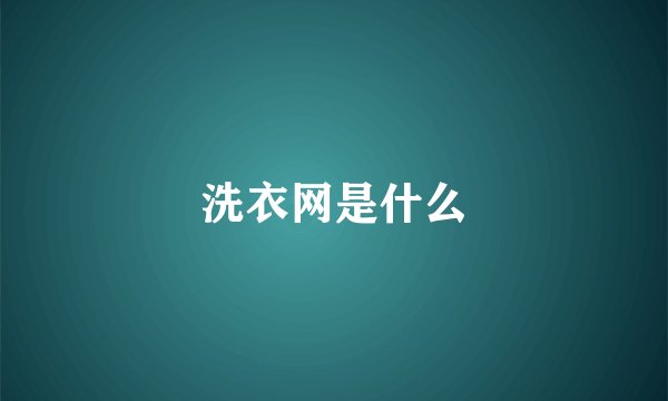 洗衣网是什么