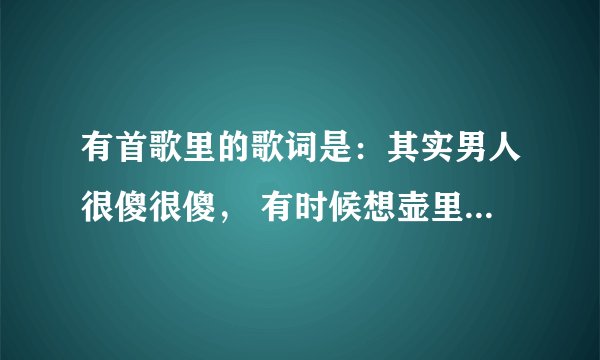 有首歌里的歌词是:其实男人很傻很傻, 有时候想壶里的开水, 什么沸腾之类的。谁知道歌曲的名字是什么?