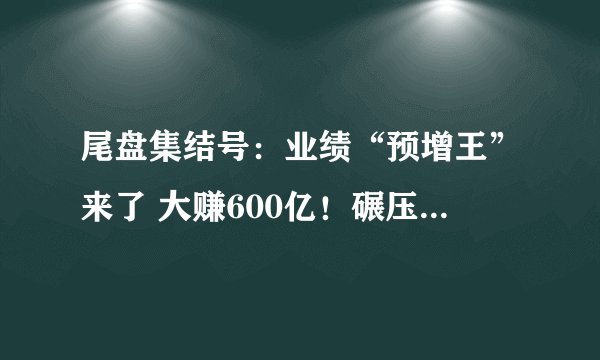 尾盘集结号：业绩“预增王”来了 大赚600亿！碾压一大片科技股 50股净利有望翻倍