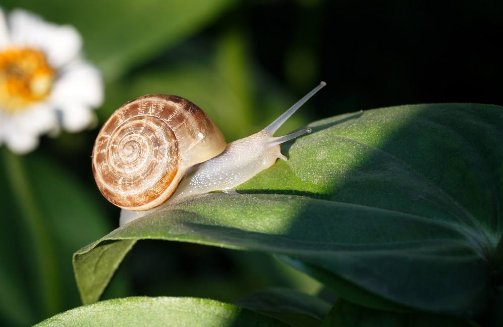 吊炸天又有内涵的网名