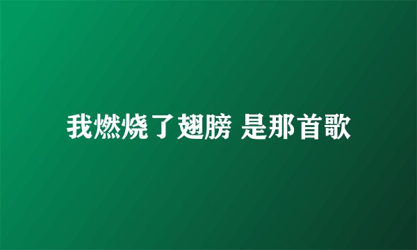我燃烧了翅膀 是那首歌