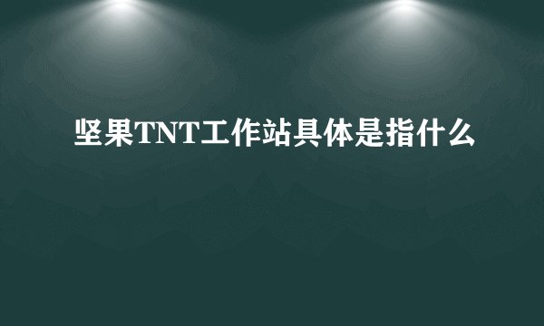 坚果TNT工作站具体是指什么