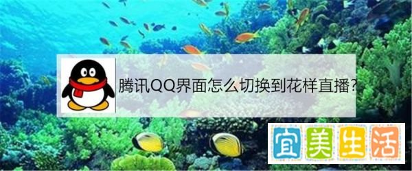 腾讯QQ界面怎么切换到花样直播？