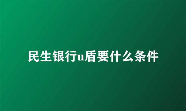 民生银行u盾要什么条件