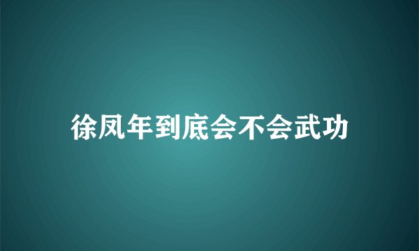 徐凤年到底会不会武功