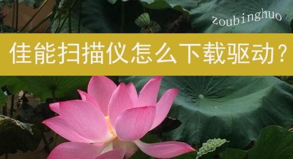 佳能扫描仪怎么下载驱动？