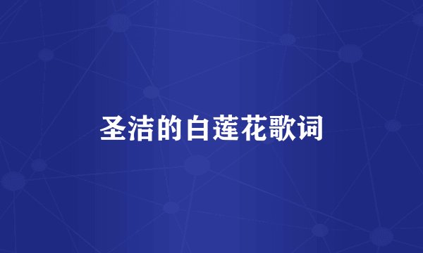 圣洁的白莲花歌词