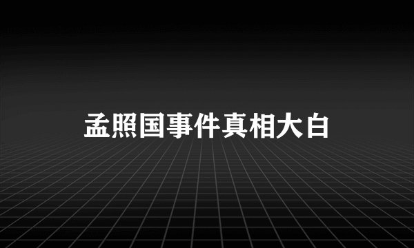 孟照国事件真相大白