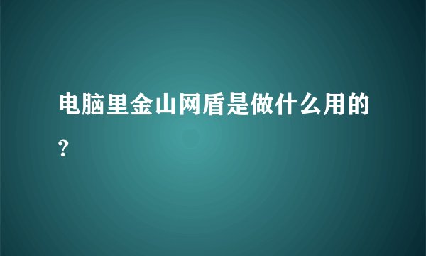 电脑里金山网盾是做什么用的？