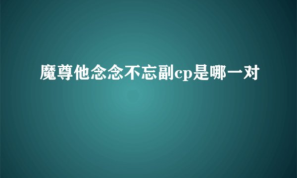 魔尊他念念不忘副cp是哪一对