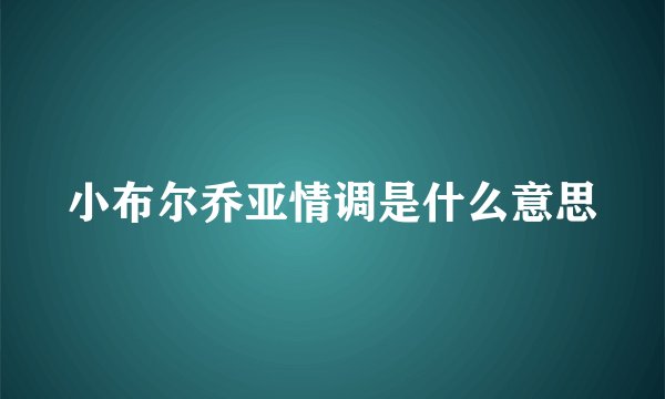 小布尔乔亚情调是什么意思
