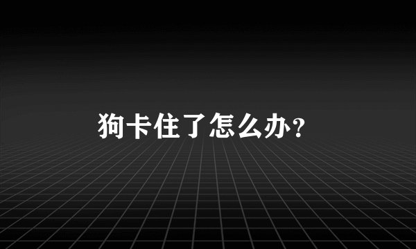 狗卡住了怎么办？