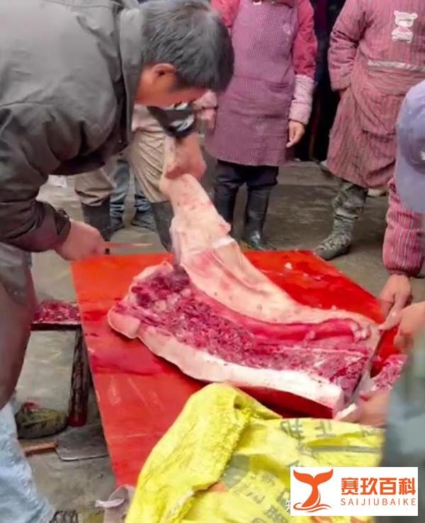 薇娅凉了，也应该凉！