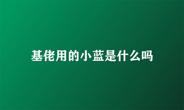 基佬用的小蓝是什么吗