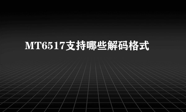 MT6517支持哪些解码格式
