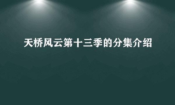 天桥风云第十三季的分集介绍