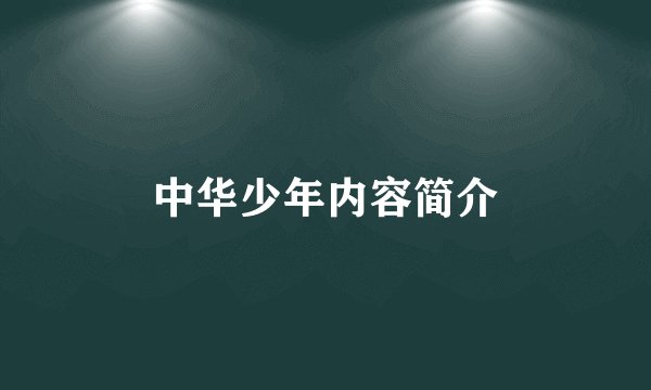 中华少年内容简介