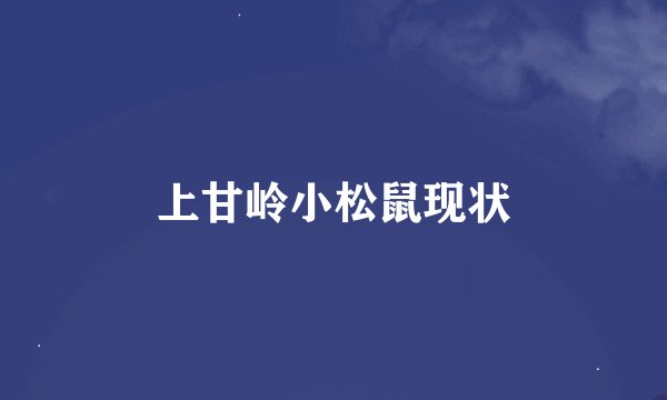 上甘岭小松鼠现状