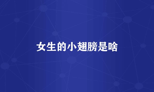 女生的小翅膀是啥