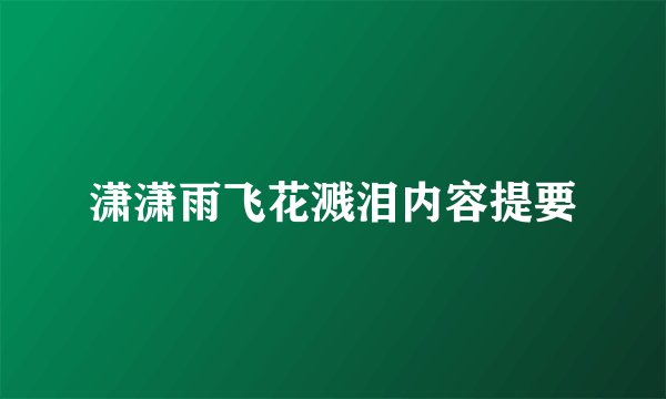 潇潇雨飞花溅泪内容提要