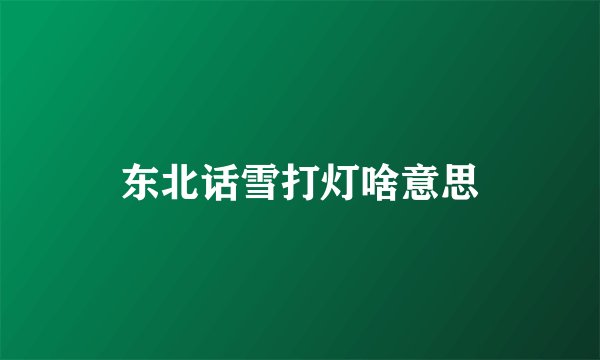 东北话雪打灯啥意思